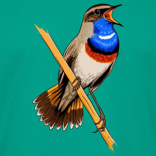 Birdingplaces Bluethroat