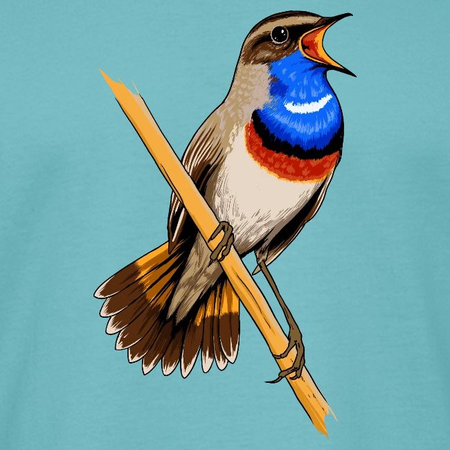 Birdingplaces Bluethroat