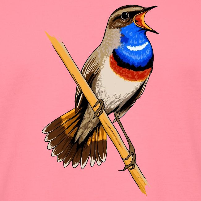 Birdingplaces Bluethroat
