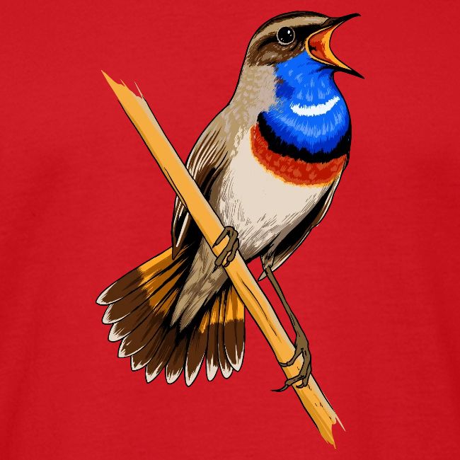 Birdingplaces Bluethroat