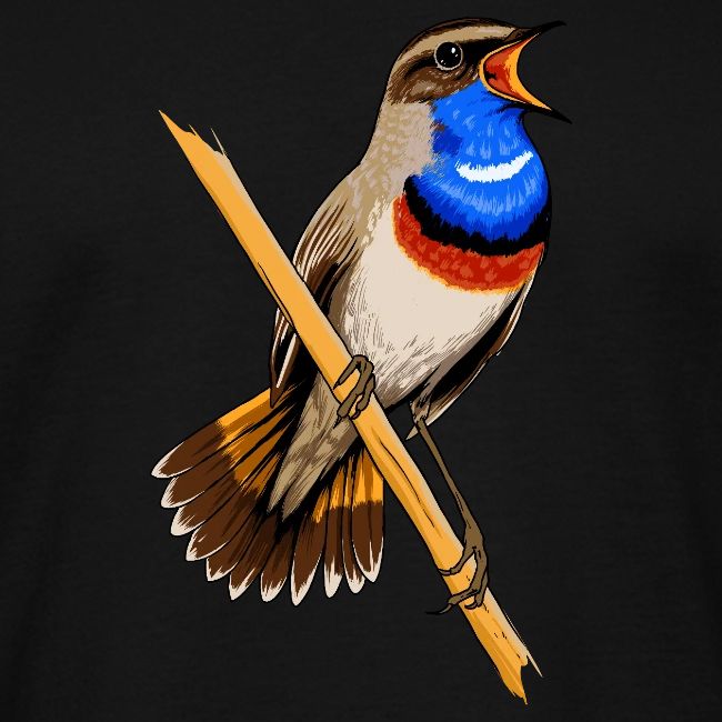 Birdingplaces Bluethroat
