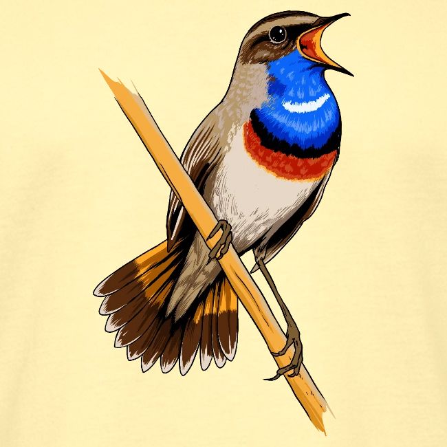 Birdingplaces Bluethroat