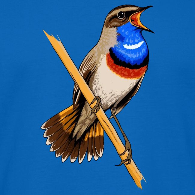 Birdingplaces Bluethroat