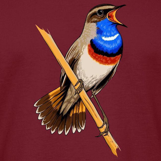Birdingplaces Bluethroat