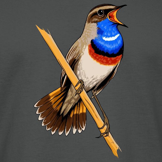 Birdingplaces Bluethroat
