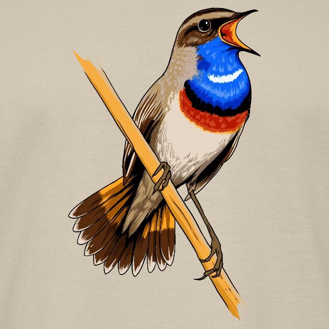 Birdingplaces Bluethroat