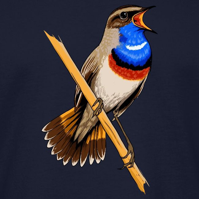 Birdingplaces Bluethroat