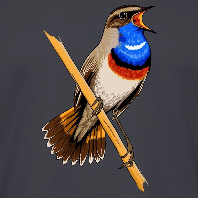 Birdingplaces Bluethroat