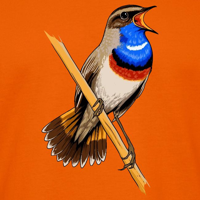 Birdingplaces Bluethroat