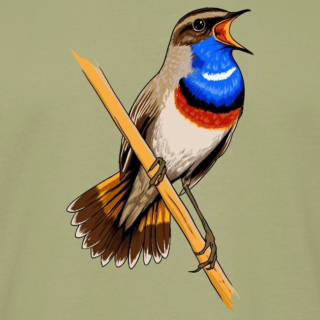 Birdingplaces Bluethroat