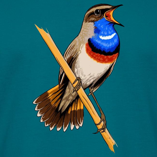 Birdingplaces Bluethroat