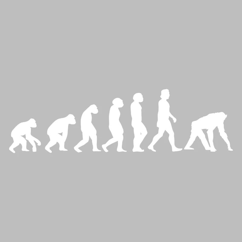 Singe Blanc Evolution Animaux Chimpanzé