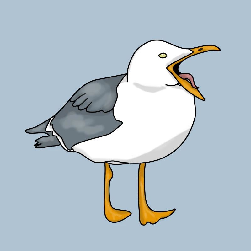 Möwe - Seagull