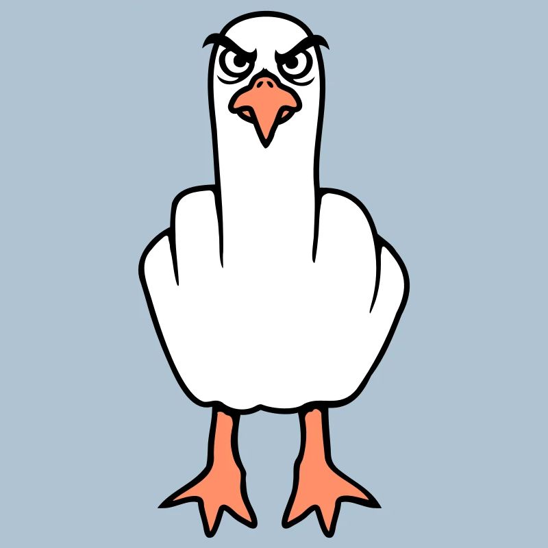 Möwe Mittelfinger Beleidigung Stinkefinger frech