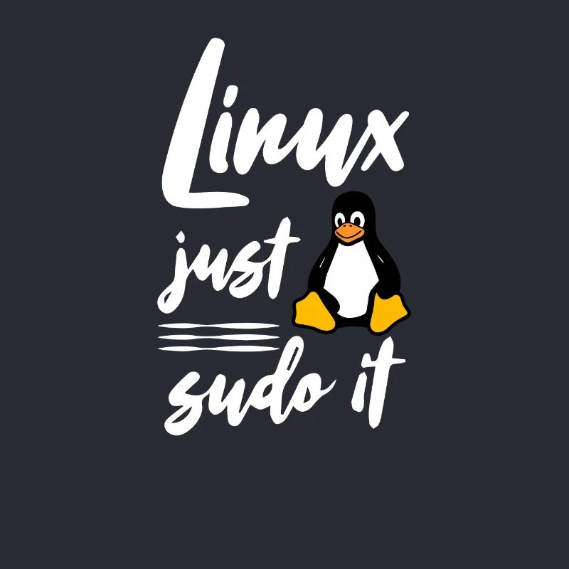 Linux juste sudo it