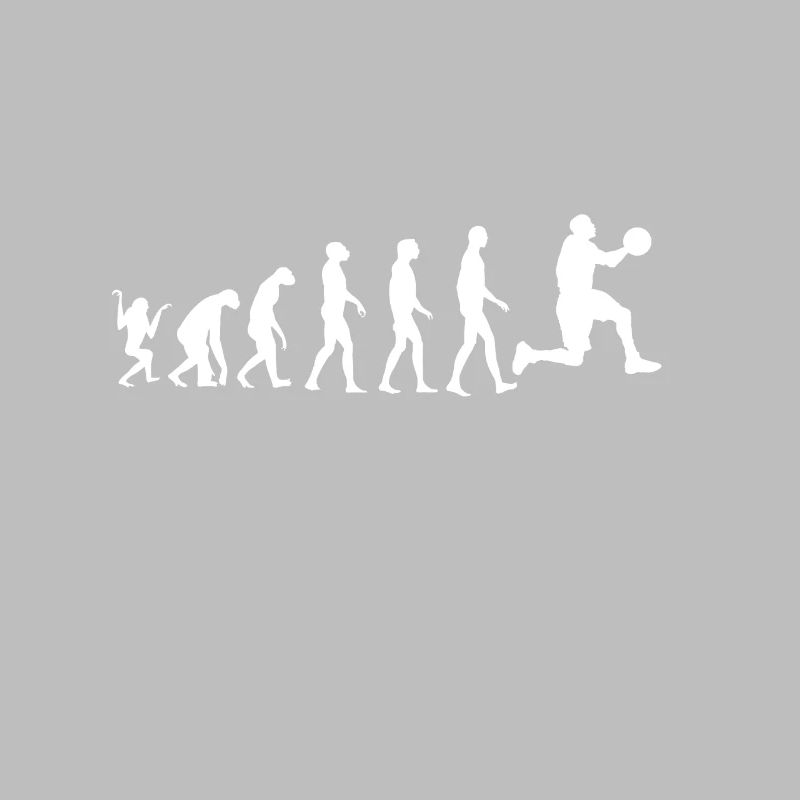 Evolution du basket