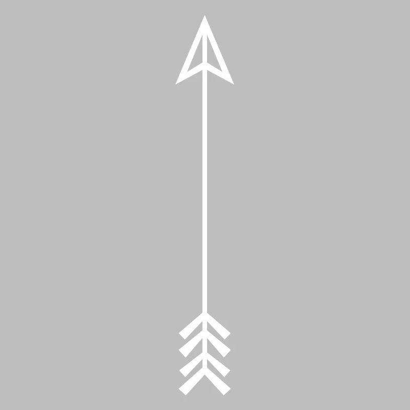 Archery long bow compound bow