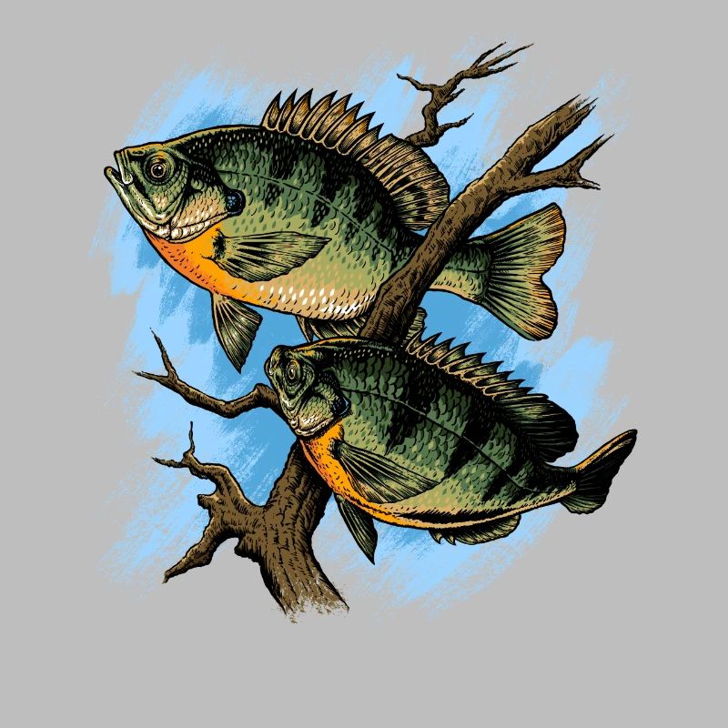 Crapet Arlequin Illustration Pêche Pullover conception