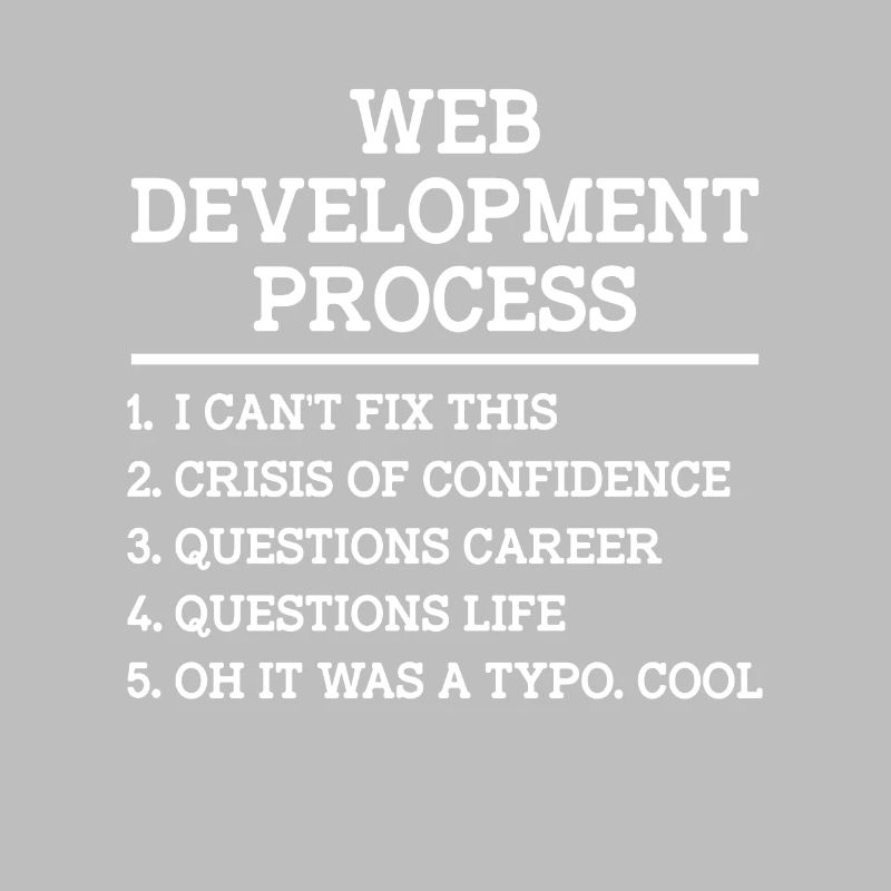 Développeur Web Développement de sites Web Programmeur informatique