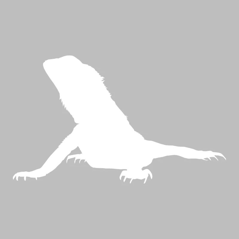 Bartagame Agame weiß Geschenkidee