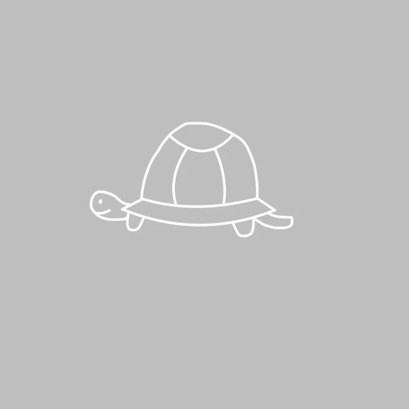 Turtle toad
