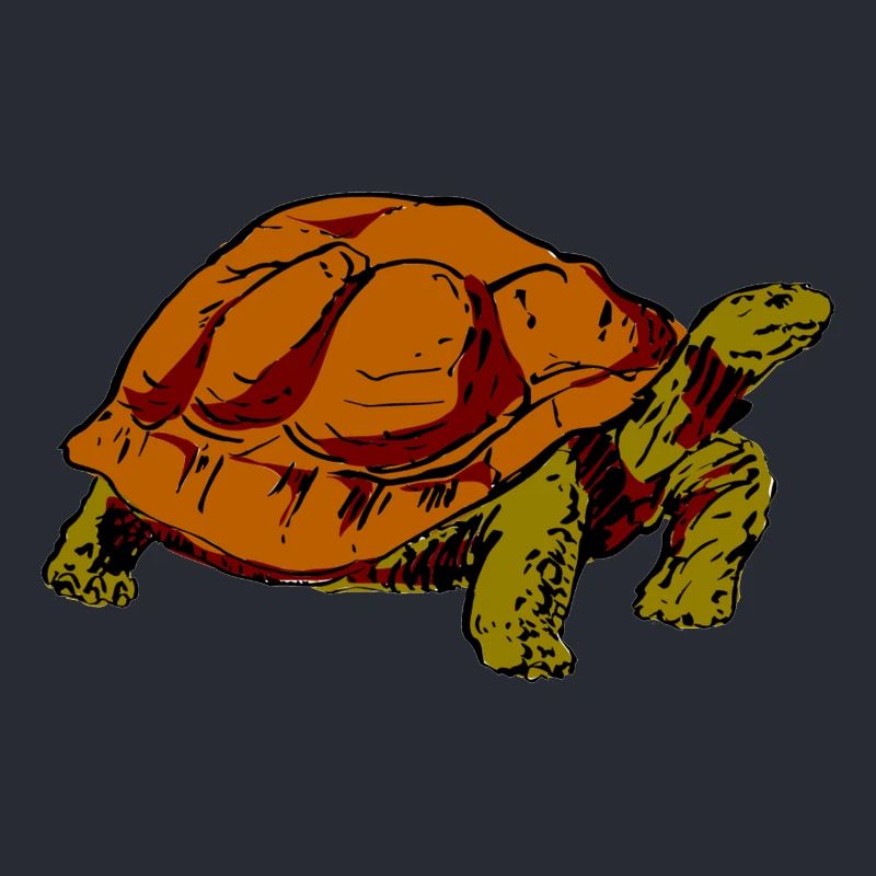 turtle