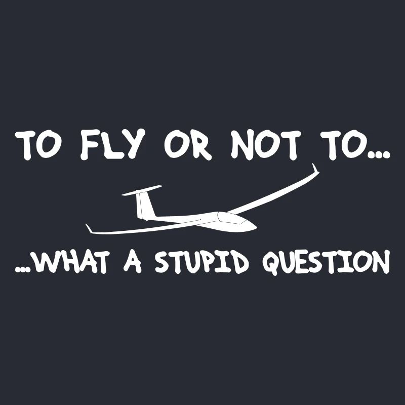 Question pilot glider pilot gliding glider