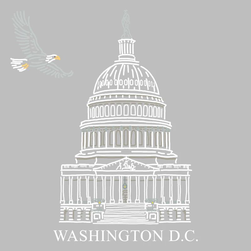 Washington D.C., Capitol Structure, Bald Eagle