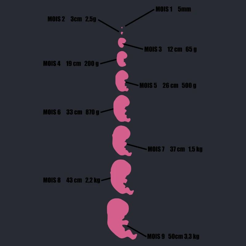 bébé evolution