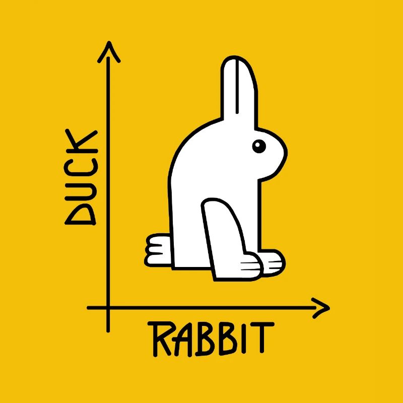 Duck or rabbit Optical Illusion
