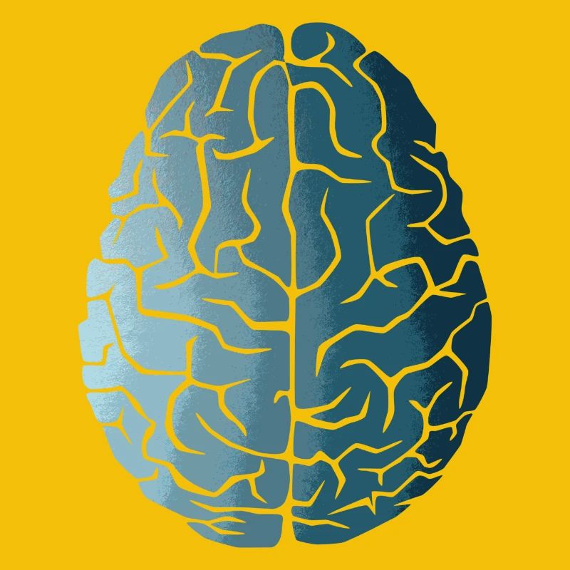Évolution du cerveau