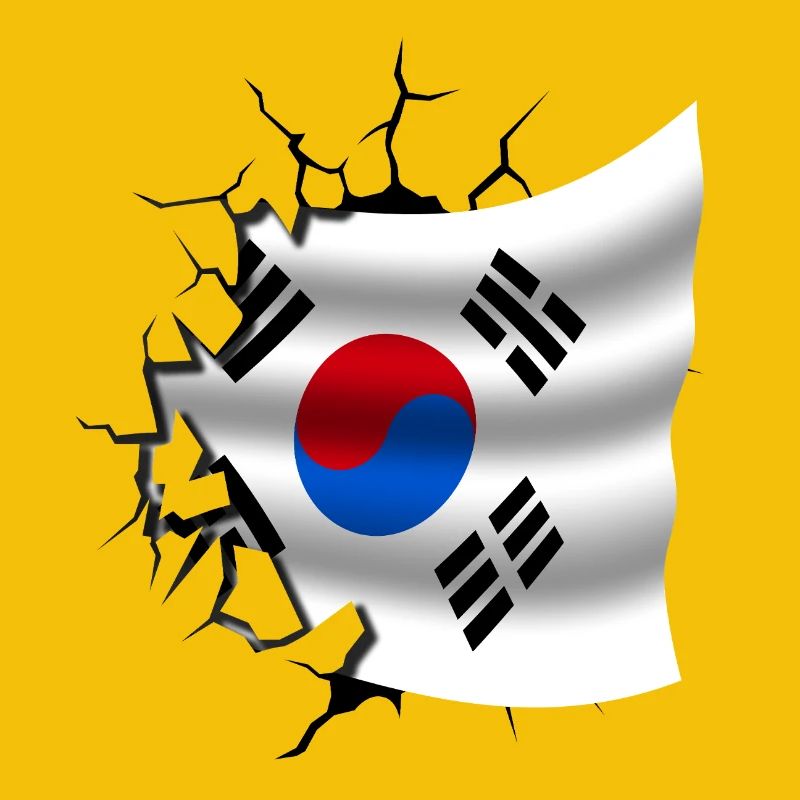 Drapeau de la Corée - Corée - Drapeau Broken Design