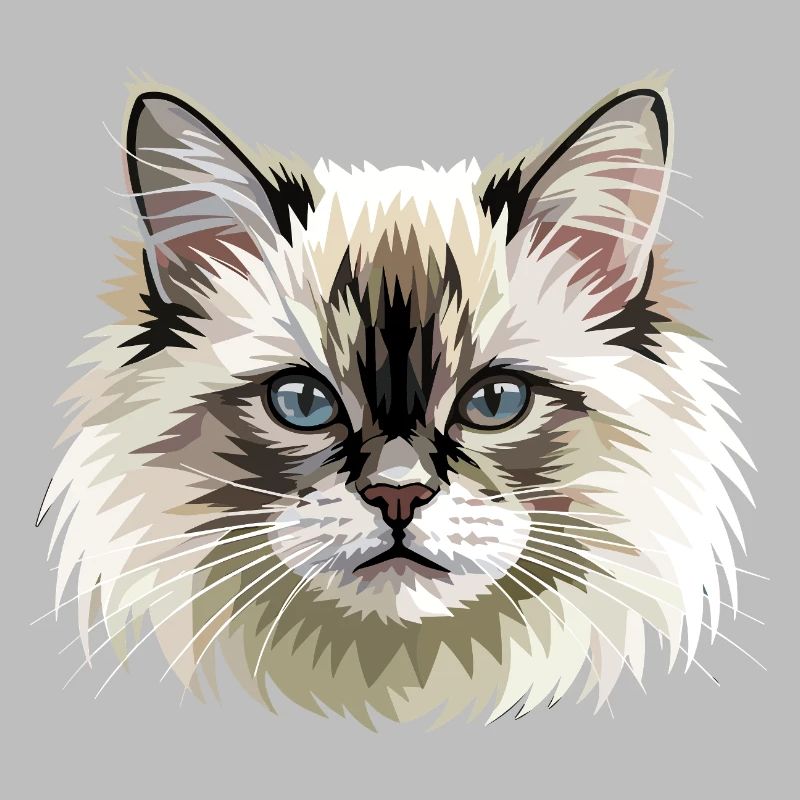 Chat Birman Chat Birman Sacré Chat Birman Mignons Chats Birman