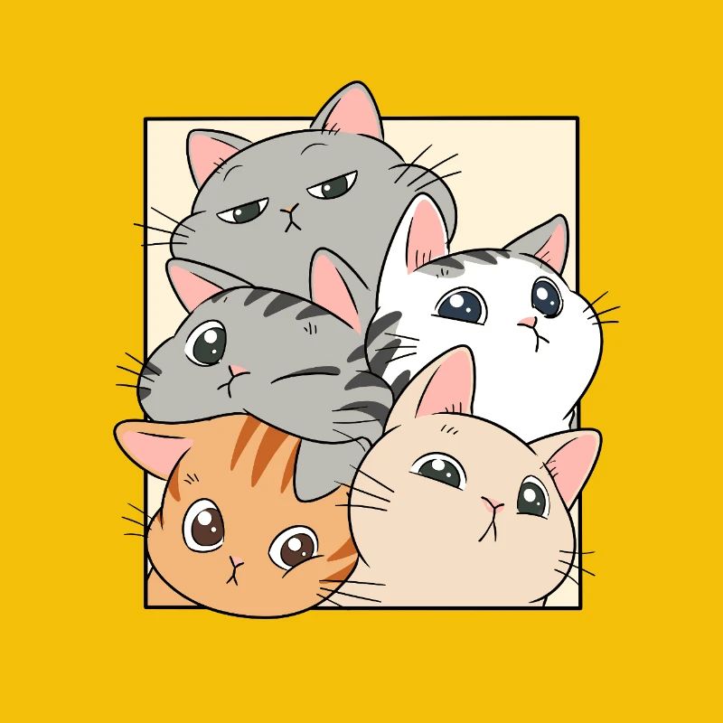 Cat Stack Ensemble