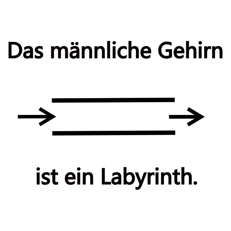 Labyrinth maennlich