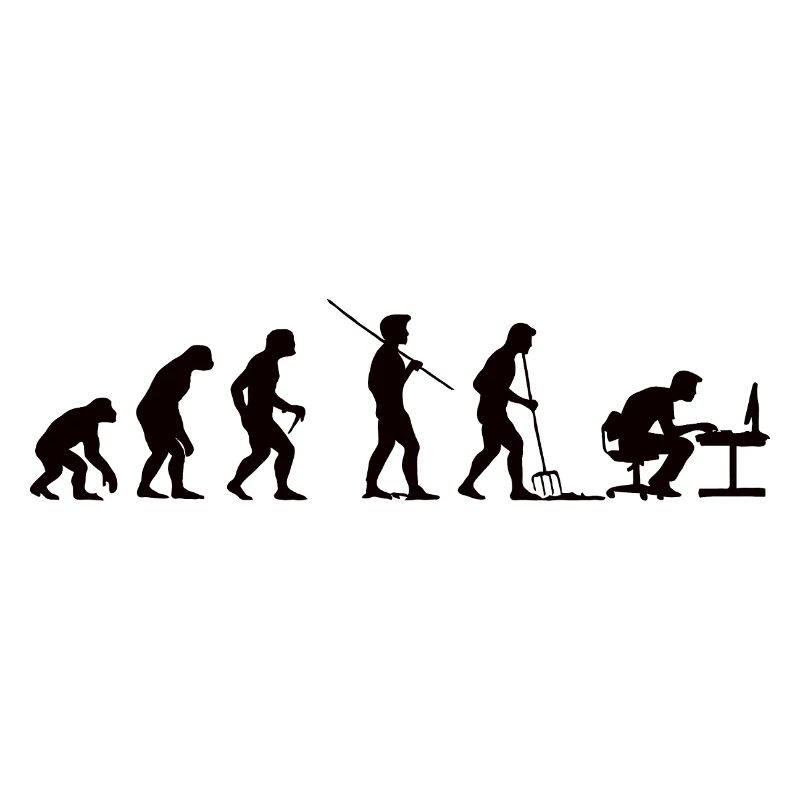 Programmeur Évolution Informaticien Développeur
