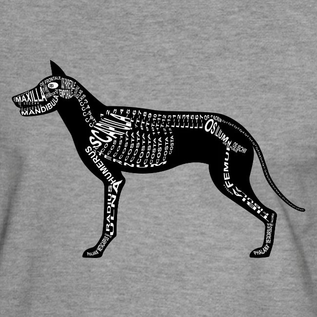 squelette de chien