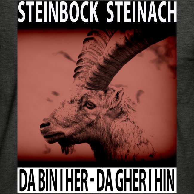Steinbock Steinach Portrait