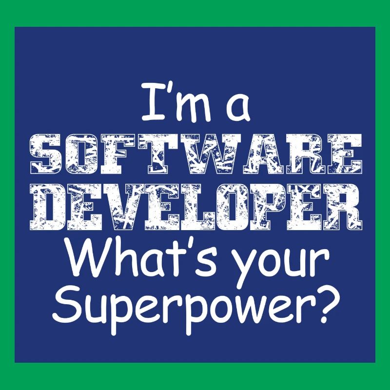 Software Developer