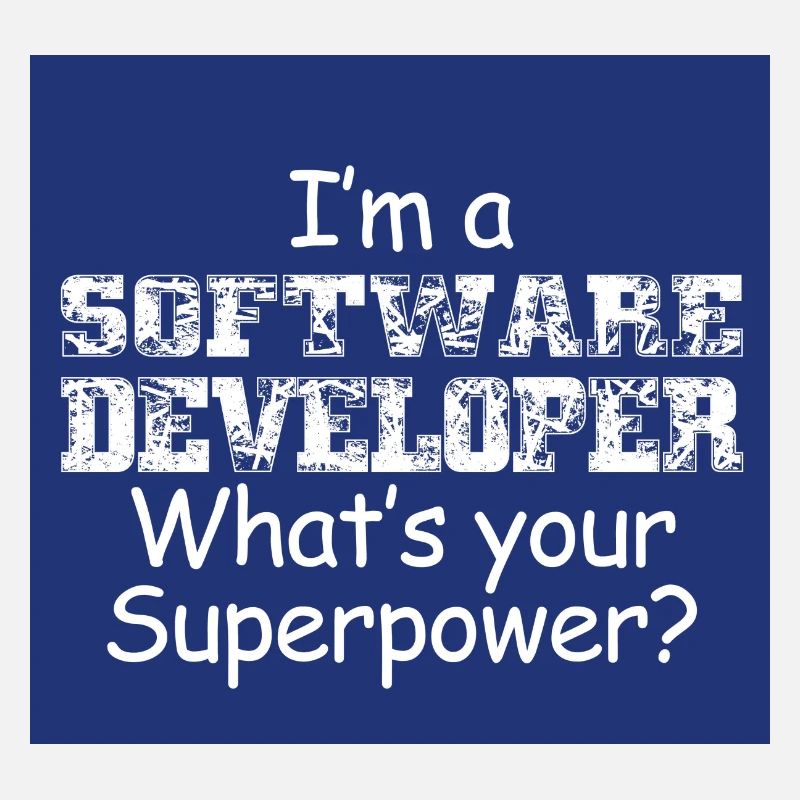 Software Entwickler