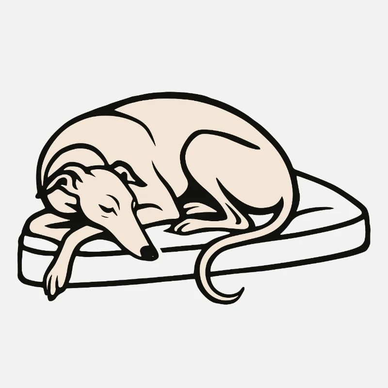 Galgo sleeping