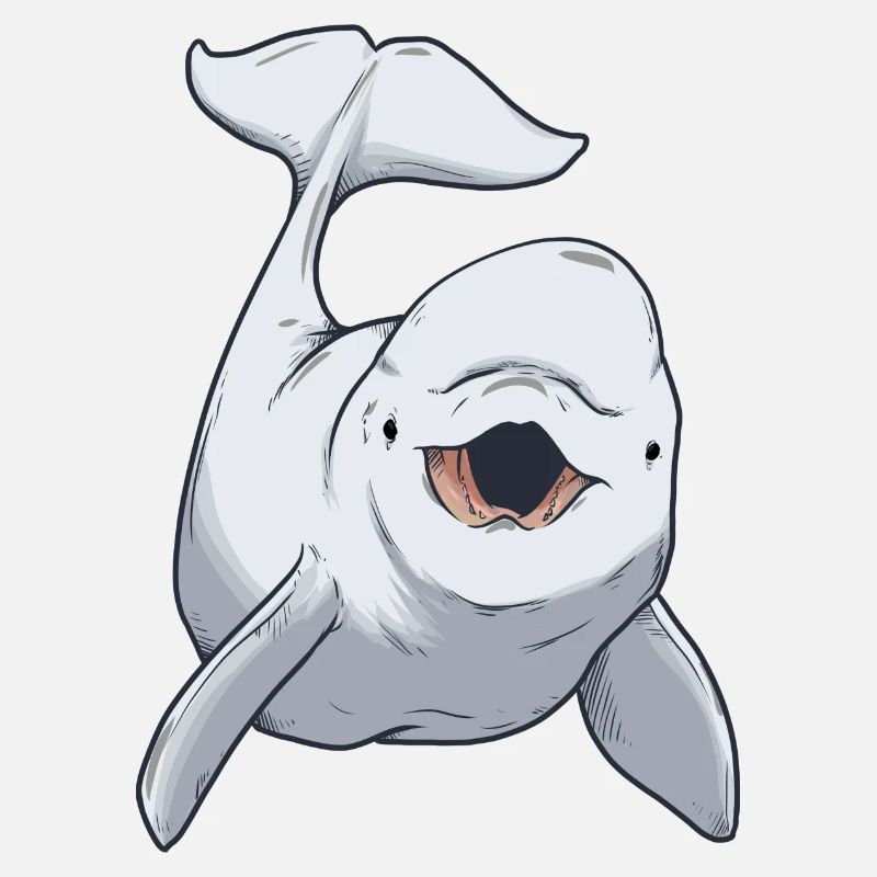 Béluga baleine blanche bébé