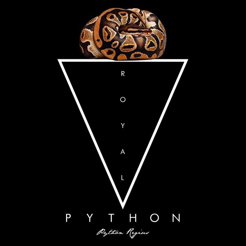 Royal Python géométrique moderne gardien de serpent