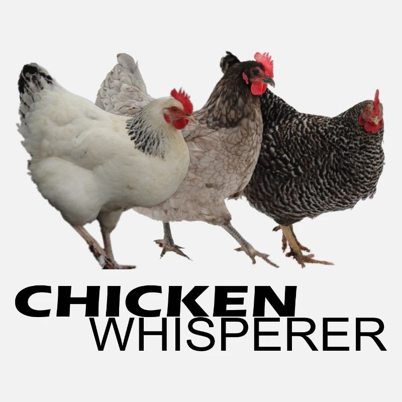 Chicken Whisperer