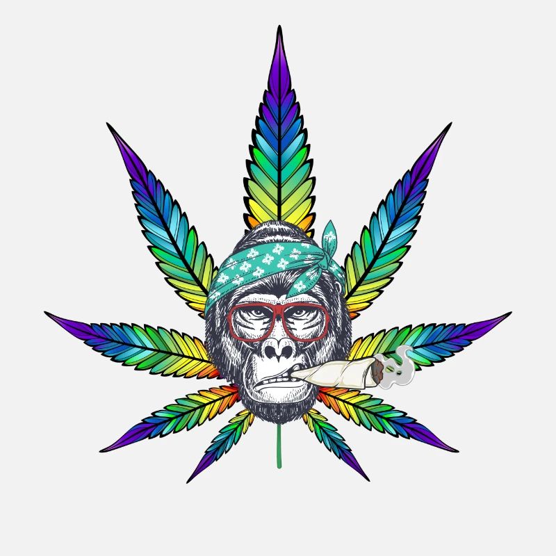 Gorilla