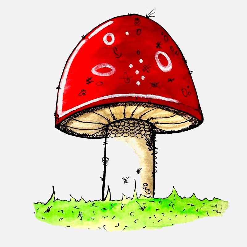 Mushroom - toadstool lucky guy lucky charm