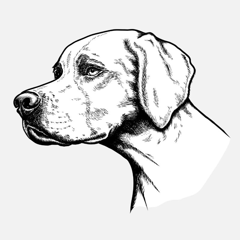 Pointer Portrait