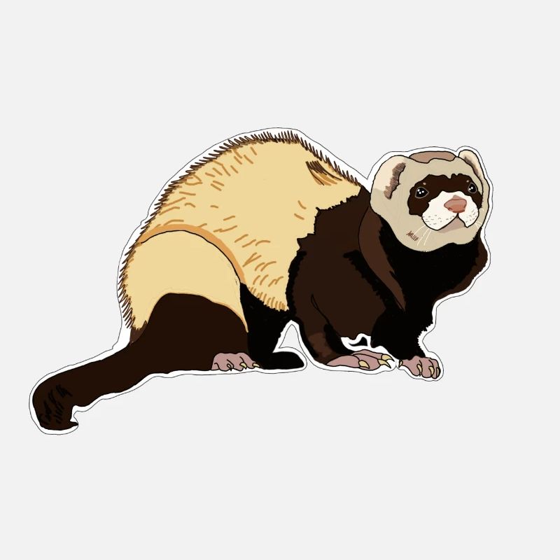 Furet