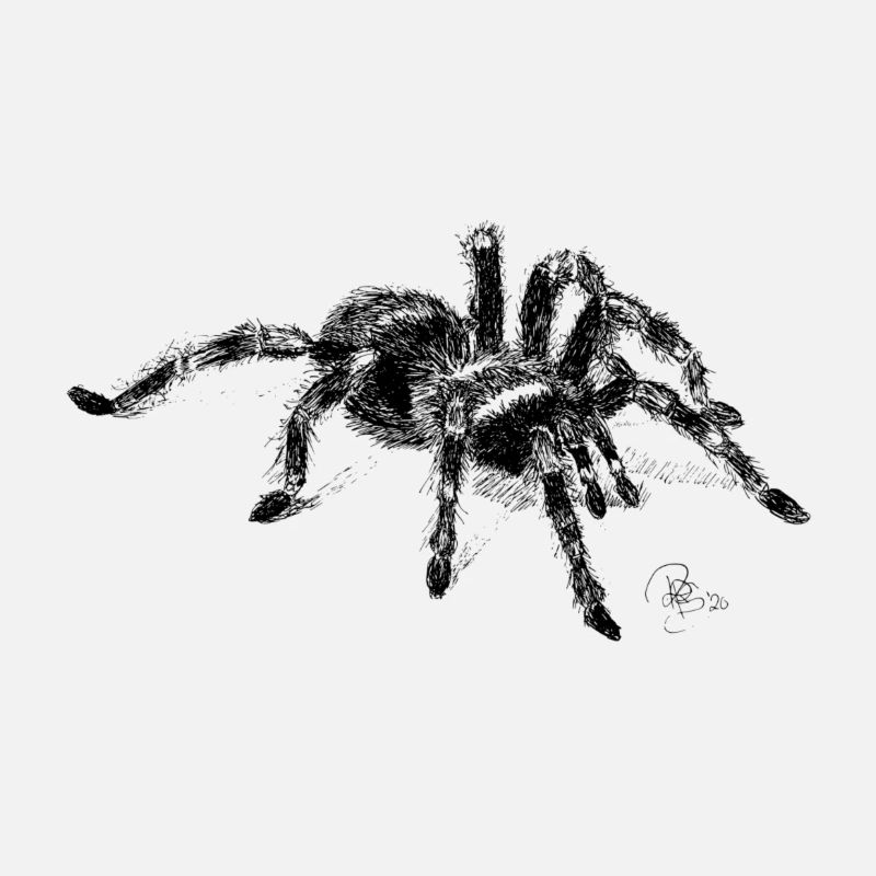 Tarantula