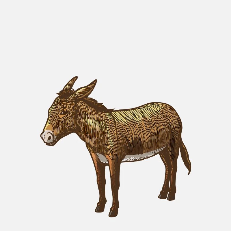 Whimsical Donkey Graphic Tee